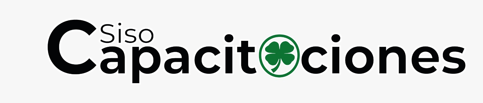 SISO CAPACITACIONES. Diseñamos y Administramos su departamento de SST   (+57 )3116384554